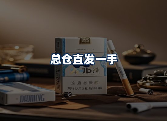 专业团队办公环境